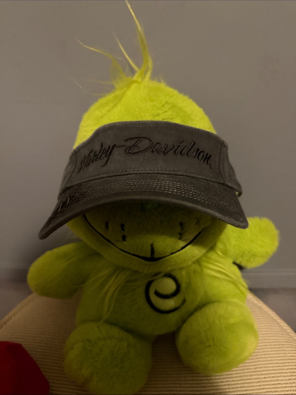 Harley-Davidson Gray Visor